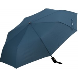 Folding sunny rainy umbrella